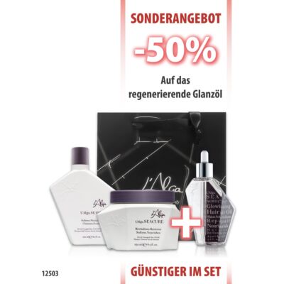 SEAWET Shampoo 250ml + SEACURE Mask 250ml + SEANORD Glanzöl 85ml