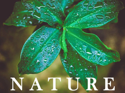 WOZU IST NATURKOSMETIK F&Uuml;R DAS HAAR GUT? 